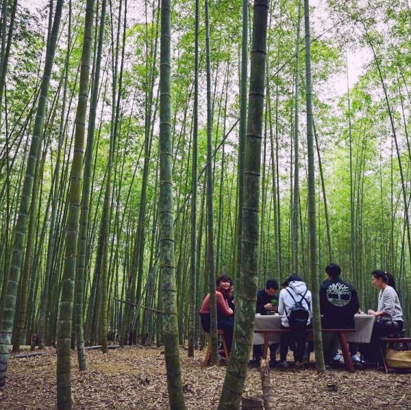 茶⾹⼯藝軸線：⼭林生態、茶鄉⽂化體驗淨零⼆⽇遊