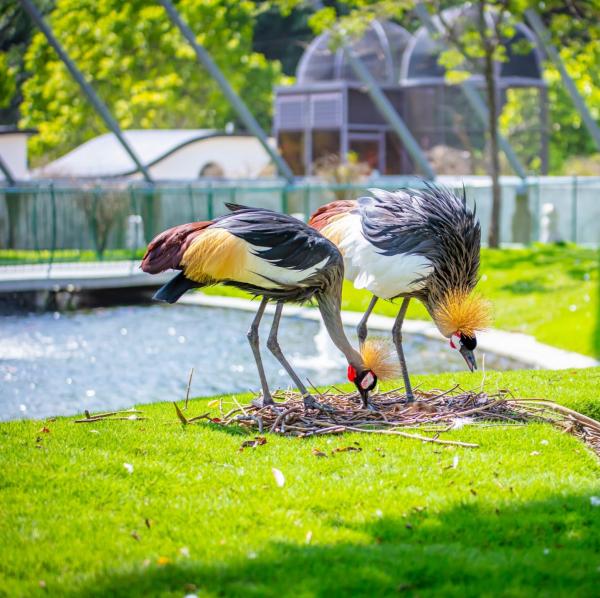 溫泉藝術軸線：工藝文化X生態藝術淨零⼆⽇遊
